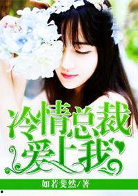 娱乐圈吃瓜配文小说推荐