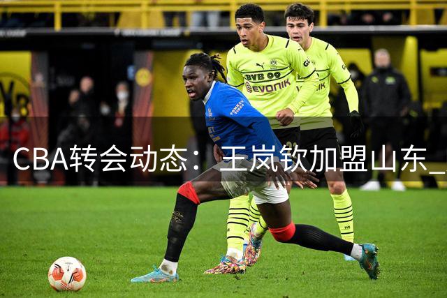 CBA转会动态：王岚钦加盟山东 库珀重返辽宁 徐昕将赴海外