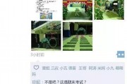 深圳湾网红最新爆料,揭秘网红打卡地背后的秘密与惊喜