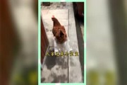 娱乐吃瓜群众素材,揭秘明星幕后故事
