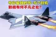 俄罗斯战机爆料视频,震撼爆料视频曝光
