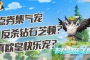 飞车宠物最新爆料,神秘宠物即将亮相，激战一触即发！