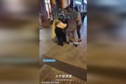 第三者爆料怀孕视频播放,真相背后引发热议